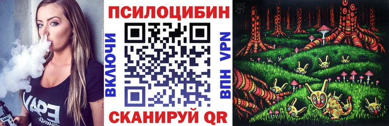 Галлюциногенные грибы Psilocybine cubensis  Купить закладки  Окуловка 
